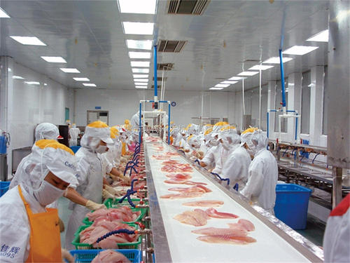 1622188987749676.jpg u=3587025152,988774609&fm=26&gp=0.jpg